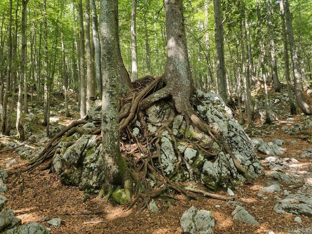 Slowenien Alpine Adventure Route - 